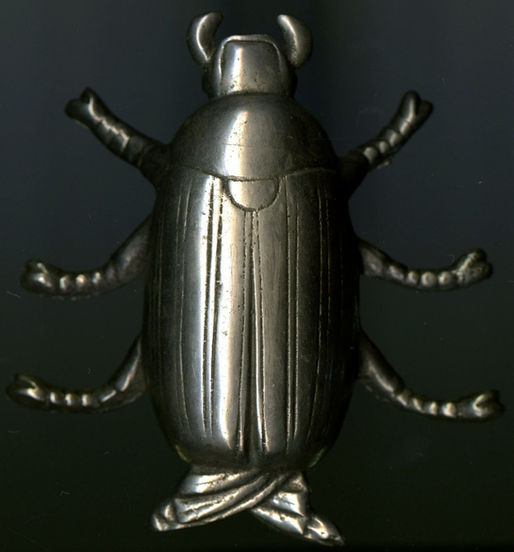Silver-colored metal beetle.