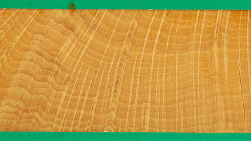 An unusual set of books in the Mahoney Music Collection contains and celebrates wood.