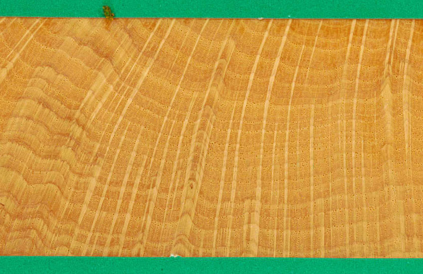 An unusual set of books in the Mahoney Music Collection contains and celebrates wood.
