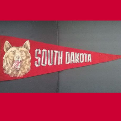 University of South Dakota pennant.