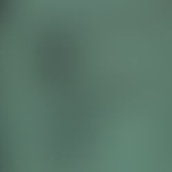 Book cover of The American Violinist.