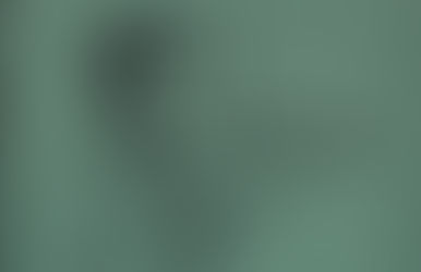 Book cover of The American Violinist.